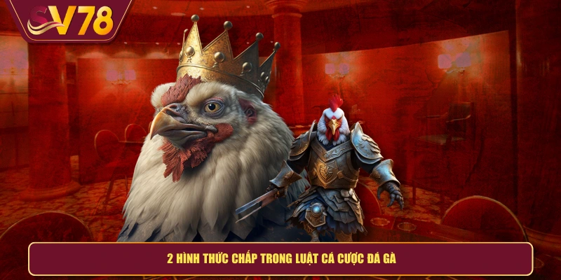 2 hình thức chấp trong luật cá cược đá gà