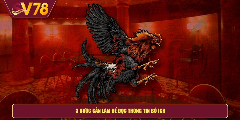 3 bước cần làm để đọc thông tin bổ ích