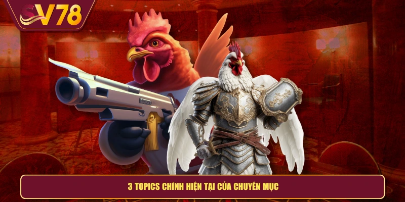 3 topics chính hiện tại của chuyên mục