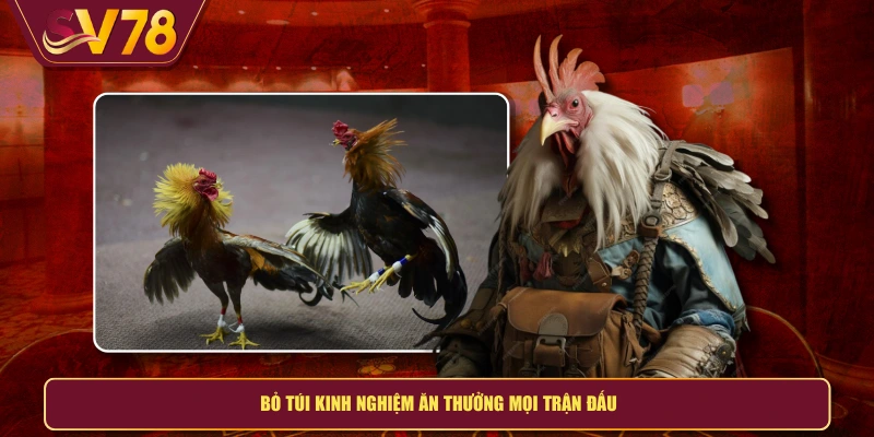 Bỏ túi kinh nghiệm ăn thưởng mọi trận đấu