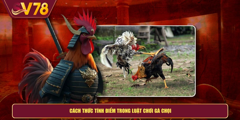 Cách thức tính điểm trong luật chơi gà chọi