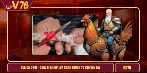 Cựa Gà Chọi - Chia Sẻ Bí Kíp Lựa Chọn Chuẩn Từ Chuyên Gia 