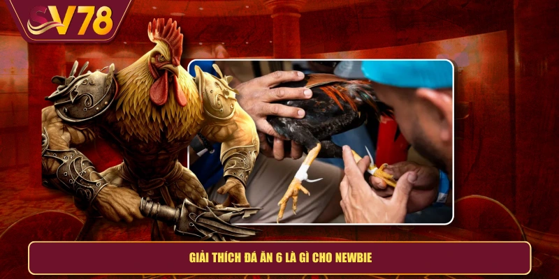 Giải thích đá ăn 6 là gì cho newbie