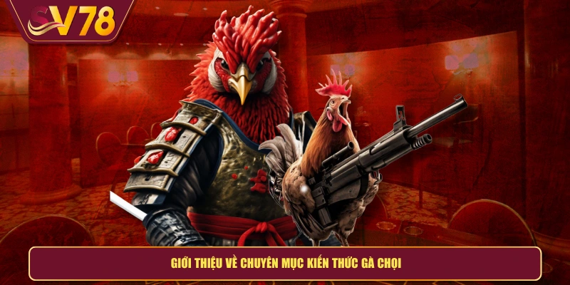 Giới thiệu về chuyên mục kiến thức gà chọi