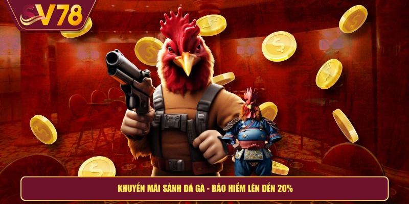 Khuyến mãi sảnh đá gà - Bảo hiểm lên đến 20%