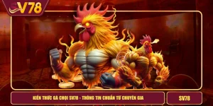 Kiến Thức Gà Chọi SV78 - Thông Tin Chuẩn Từ Chuyên Gia