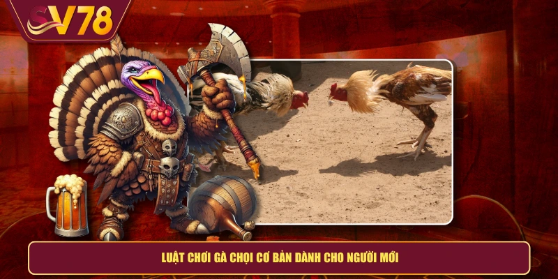 Luật chơi gà chọi cơ bản dành cho người mới