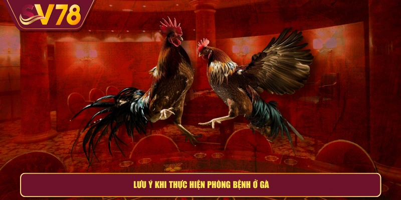 Lưu ý khi thực hiện phòng bệnh ở gà