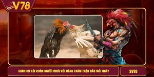 Sảnh ICF Lôi Cuốn Người Chơi Với Hàng Trăm Trận Đấu Mỗi Ngày Mà Không Hủy Cược