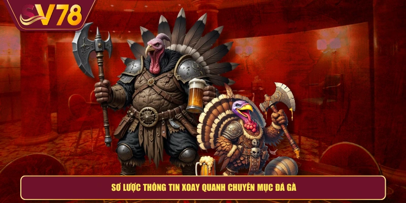 Sơ lược thông tin xoay quanh chuyên mục đá gà