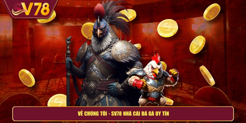 Về chúng tôi - SV78 nhà cái đá gà uy tín