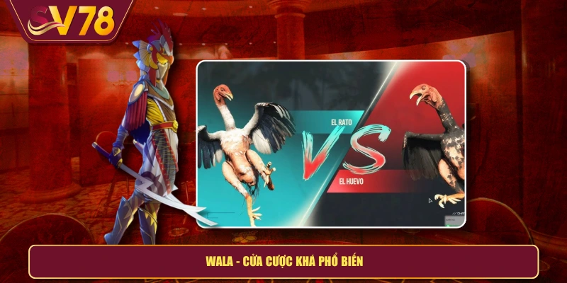 Wala - Cửa cược khá phổ biến